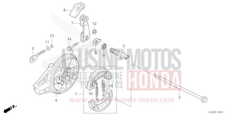 BREMSPLATTE, HINTEN von CRF125FB "große Räder" EXTREME RED (R292) von 2025